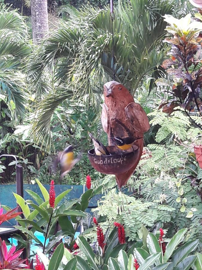 Les Jardins De L'Esperance Villa Bouillante Eksteriør billede