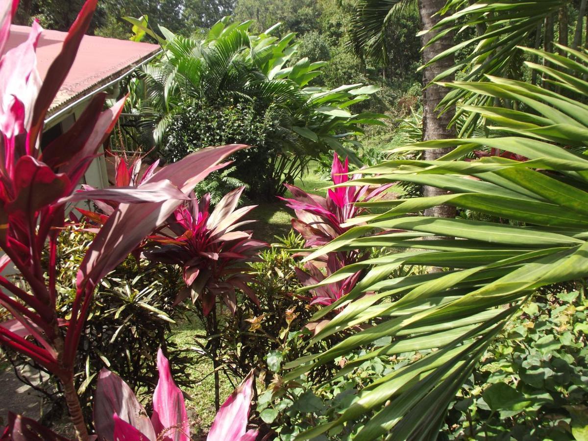 Les Jardins De L'Esperance Villa Bouillante Eksteriør billede