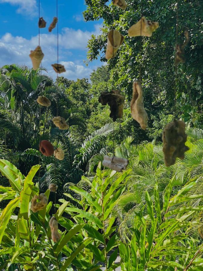 Les Jardins De L'Esperance Villa Bouillante Eksteriør billede